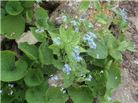 2f9e6ea1-Picture 012.jpg